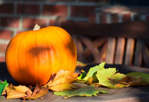 Ripe pumpkin on a wooden table in autumnal evening sun.