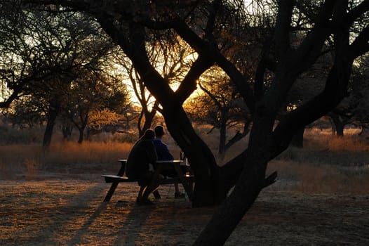 Sunset at the Haak en Steek camp site in Mokala National Park, South Africa