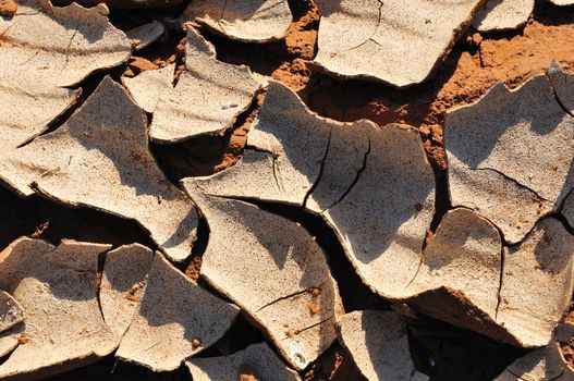 Patterns in the  mud at Sossusvlei, Namibia