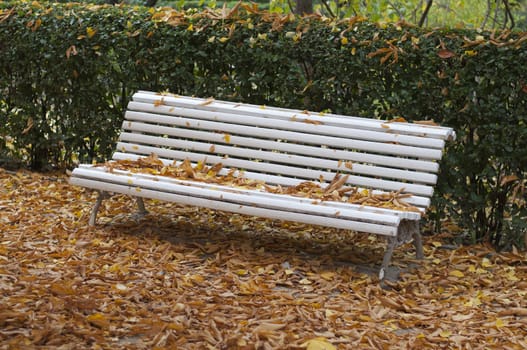bench covered in autumn leaves in a park
