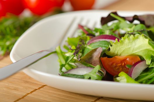 closeup of mixed vegetable salad