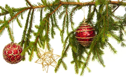 Two red Christmas bulbs and a golden star hanging from a Christmas tree, Isolated