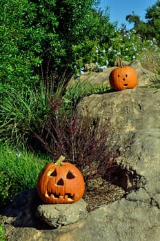 Two carved pumpkins bring color to a rock garden for Halloween
