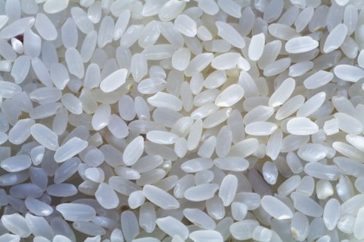 White selected rice grains as a food background