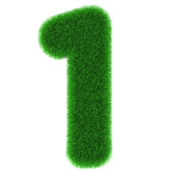 Number one made of grass isolated on white background