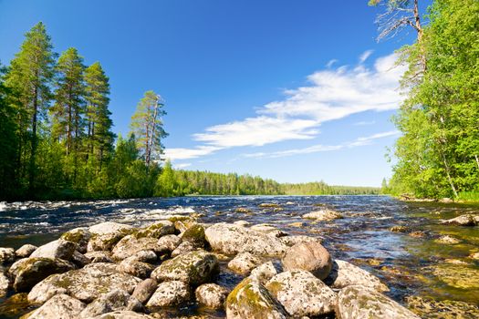 Rapids on the Pistojoki river in Karelia, Russia