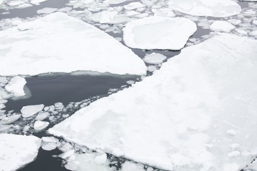 Ice floating on the sea