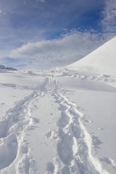 Winter landscape