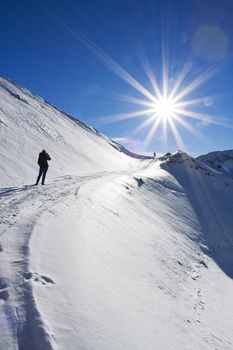 Walk in the snow