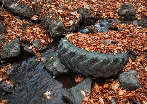 Environmental pollution. Old tire lies in a forest creek