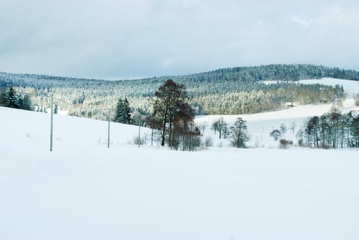 winter