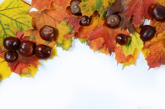 autumn leaves and chestnuts with scpae for your text