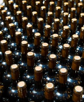 Wine bottles in a row as a pattern with cork in Mediterranean winery