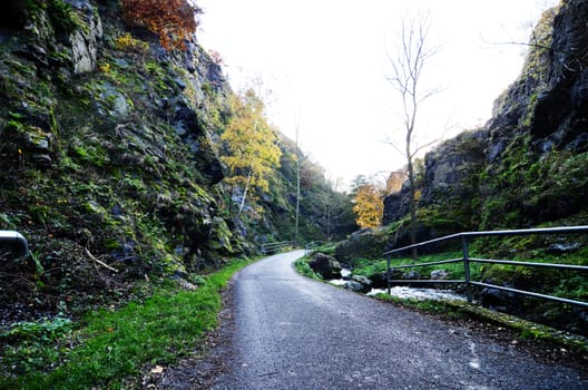 Wild Sarka, Prague