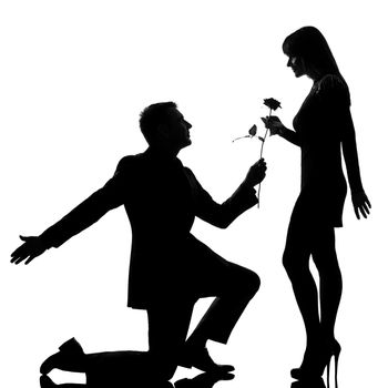 one caucasian lovers couple man kneeling offering rose flower and woman in studio silhouette isolated on white background