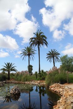  Bontanicactus,Ses Selines, Mallorca, Spain