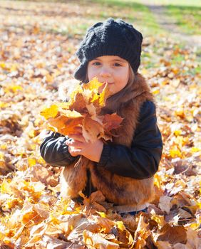 little girl sits on a grass and holds autumn leaves of a maple