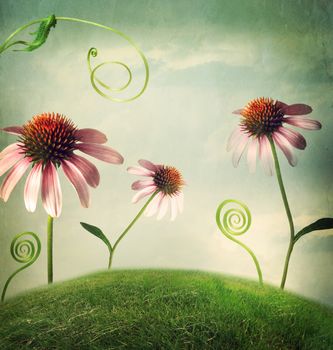 Echinacea flowers in a fantasy hilltop landscape