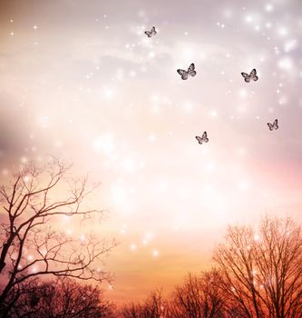 Small butterflies over the trees in the red sky background