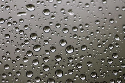 Rain water drops  on window glass
