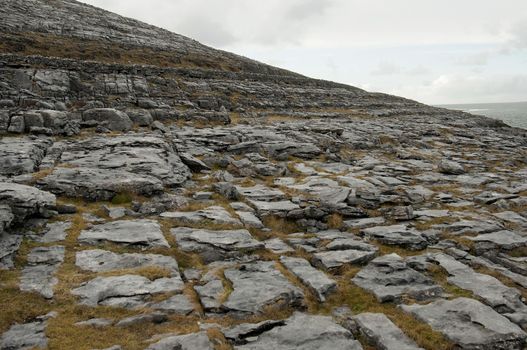 The Burren (Irish: Boireann, meaning "great rock") is a karst-landscape region or alvar in northwest County Clare, in Ireland. It is one of the largest karst landscapes in Europe.