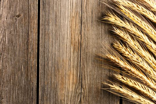 Rye spikelets on wooden background