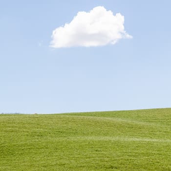 Green field under a blue sky in Val Orcia, Tuscany region, Italy