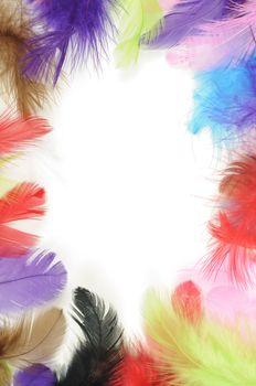 Colorful feathers border on white background