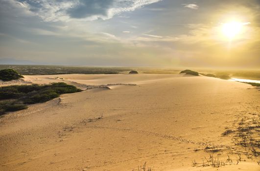 Looking into the sun on a sand dune in La Guajira, Colombia