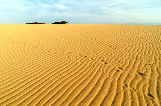 Patterns on a sand dune in La Guajira, Colombia