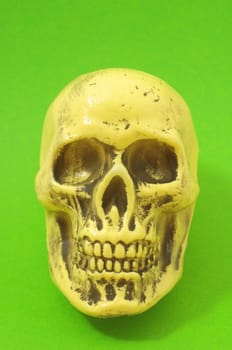 An Ancient Yellow Skull  on a Colored Background