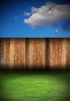 beautiful backyard with old  wooden  fence and green meadow