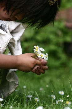  close up of face of  child  hand picking up a a  daisy flower in the grass
