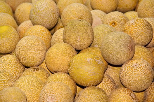 Cantaloupe melons on fruit market .