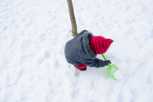 girl with a red hat in winter time with a green shovel dig snow