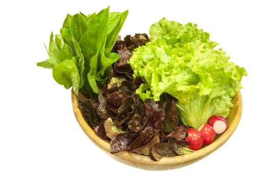 Bowl with lettuce salad, wild garlic,radishes on white background