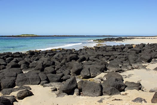 Griffiths Island Reserve, Port Fairy, Australia