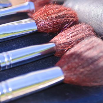 Professional make-up brushes closeup