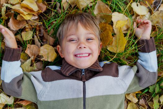 Portrait of happy boy lying on autumnal ground covered with dry leaves