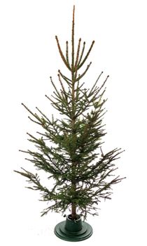 Empty christmas tree, isolated on white