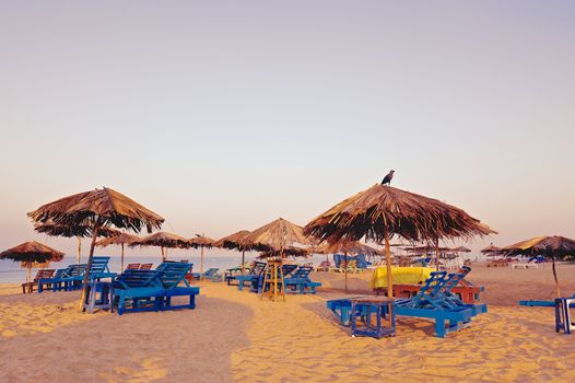 Beach umbrellas and deckchair on the tropical coast in Goa, india