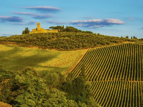 hills in Tuscany, Italy, during the October grape harvest