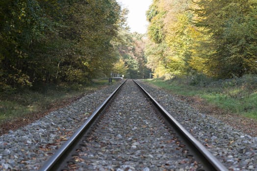 railroad track in autumn forest