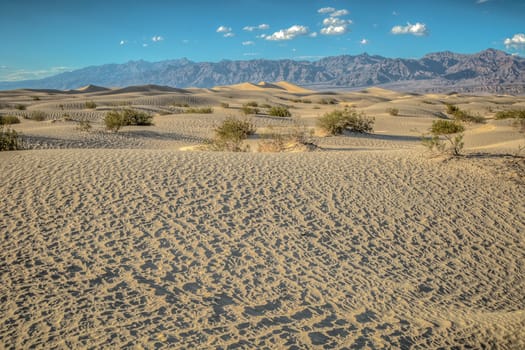 dunes in Death valley, desert