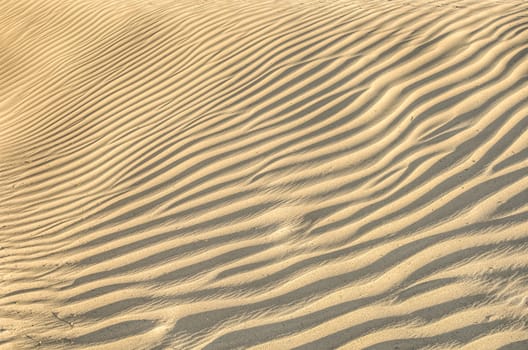 sand dune texture in Death valley, desert