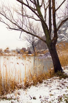 winter landscape