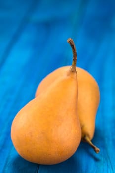 Two ripe Bosc pears on blue wood (Selective Focus, Focus on the front of the pear)