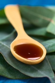 Eucalyptus cough syrup on wooden spoon on fresh Eucalyptus leaves (Very Shallow Depth of Field, Focus one third into the syrup)