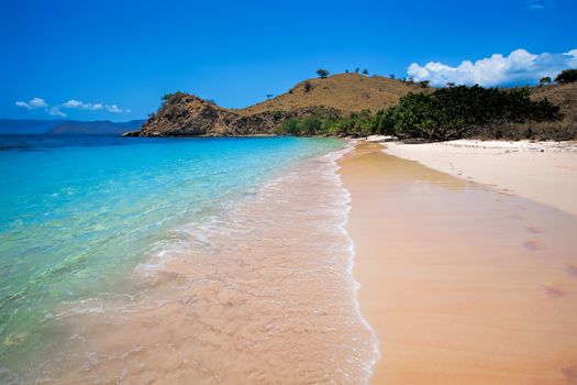  Sunny day on Pink Beach in Komodo National Park