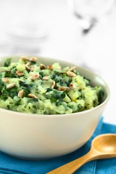 Mashed potatoes with fresh herbs and roasted sunflower seeds in white bowl (Selective Focus, Focus one third into the mashed potato)